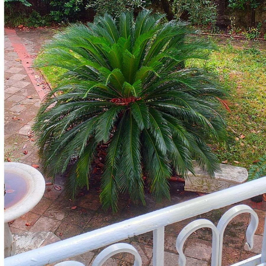 Un Giardino A Due Passi Dal Mare Apartamento La Spezia Exterior foto